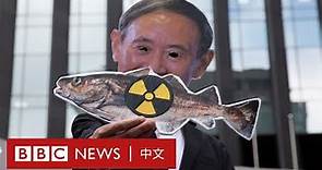 日本排放核污水：福島核廢水將排入海，中韓強烈不滿－ BBC News 中文