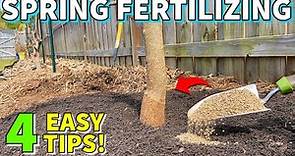 The BEST GUIDE To Fertilizing FRUIT TREES In Spring On The Internet!
