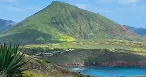 Hanauma Bay is one of the top destination spots in Honolulu. Formed within a Volcanic Cone, the prestine waters of this Bay are home to numerous marine life; making this protected preserve a snorkelers paradise. #hanaumabay #preserve | Hawaiian Style Rentals and Sales