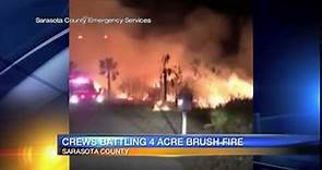 Large brush fire scorches Shamrock Park in Venice