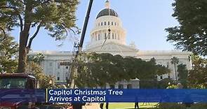 State Capitol Christmas Tree Delivered