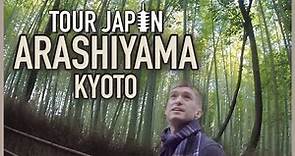 Kyoto's Bamboo Forest & More: Guide to the Arashiyama District