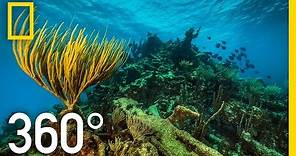 360° Underwater National Park | National Geographic