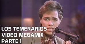 DJ GOOFY - LOS TEMERARIOS VIDEO MEGAMIX 1