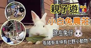 【親子遊】香港好去處｜小白兔音樂農莊｜親親大自然🍃親親小動物🐏🐖🐰🐢