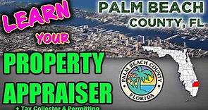 HOW TO Search PALM BEACH County PROPERTY APPRAISER Site | How To Find West Palm Property Info 4 Free