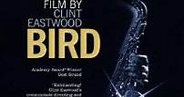 Bird (Cine.com)