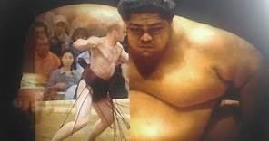 El luchador de sumo anoréxico: Takanoyama