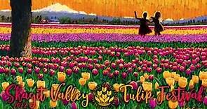 Skagit Valley Tulip Festival 2022 | RoozenGaarde | Mount Vernon, Washington | USA | Full Tour