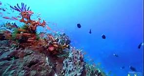 ... - 蘭嶼.藍海屋潛水渡假村Orchid Island Blue Ocean House Diving Resorts