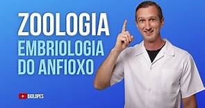 AULA 02 - EMBRIOLOGIA DO ANFIOXO - BIOLOPES