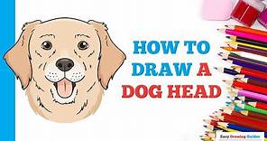 How to Draw a Dog Head: Easy Step by Step Drawing Tutorial for Beginners
