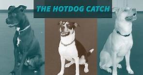 Hot Dog Catch