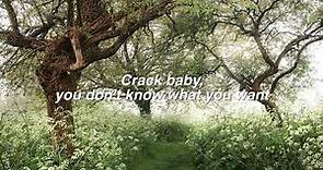 Crack Baby - Mitski (lyrics)