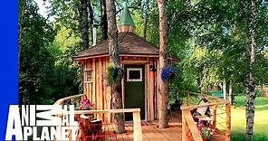 Alaskan Treetop Sauna | Treehouse Masters: Behind the Build