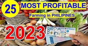 Top 25 Most Profitable Farming in 1 Hectare Farm | Philippines