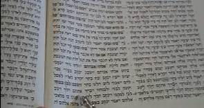 Maftir Reading Vayeitzei Torah Rabbi Weisblum קריאת מפטיר ויצא הרב ויסבלום