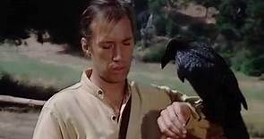 Kung Fu: Caine the Crow Whisperer