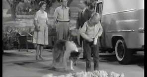 Lassie - Episode #265 - "The Pied Piper" - Season 8 Ep. 10 - 11/12/1961