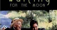 Waiting for the Moon (1987) Online - Película Completa en Español - FULLTV
