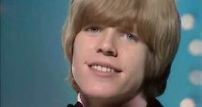 NEW * There's A Kind Of Hush - Herman's Hermits 4K {Stereo} 1967