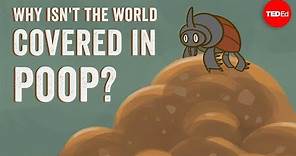 Why isn't the world covered in poop? - Eleanor Slade and Paul Manning