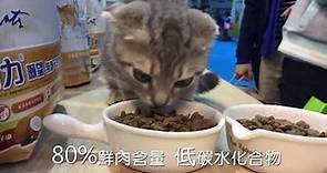 【倍力寵物】貓糧Q&A-原來還有這麼優質的貓糧! ~願望Animate無穀貓鮮糧