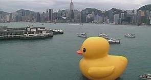 Giant rubber duck visits Hong Kong's Victoria Harbour