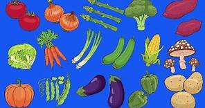 Learn Vegetables Vocabulary | Talking Flashcards