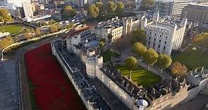 The Tower Poppies from above