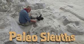 Paleo Sleuths:Paleo Sleuths