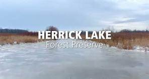 A Scenic Visit to Herrick Lake Forest Preserve