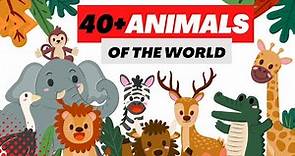 40+ Animals of the World - Learning the Different Names of the Animal Kingdom