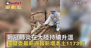 CTWANT 國際新聞 / 中國疫情嚴峻持續延燒 採檢對象包羅萬象