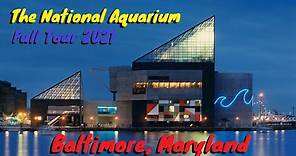 National Aquarium Full Tour - Baltimore, Maryland
