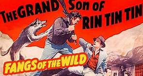 Fangs of the Wild (1954) Charles Chaplin Jr. | Adventure, Family, Thriller | Full length movie