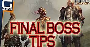 DIVINITY ORIGINAL SIN 2 - Final Boss Tips (Tactician)
