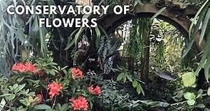 Exploring San Francisco Conservatory of Flowers