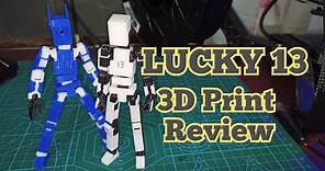 LUCKY 13 3D Model Review