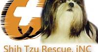 Shih Tzu Rescue