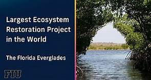 Largest Ecosystem Restoration Project in the World - The Florida Everglades