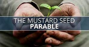 Parable Of The Mustard Seed Explained l Parable Of The Mustard Seed Reflection l Bible Study