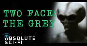 Two Face: The Grey (2020) | [4K] Chad Calek's Alien Documentary | Absolute Sci-Fi