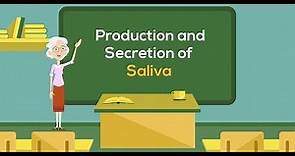 Production and Secretion of Saliva | Physiology Animation Video | V-Learning™