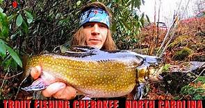 Trout Fishing Cherokee North Carolina