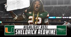 Sheldrick Redwine Miami Football Highlights - 2018 Season | Stadium