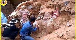 Ce Que Les Archéologues Ont Découvert En Chine A Choqué Le Monde