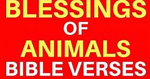 10 Bible Verses About Animals | Get Encouraged
