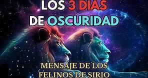 LOS TRES DÍAS DE OSCURIDAD - Mensaje de los felinos de Sirio