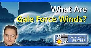 What Are Gale Force Winds?